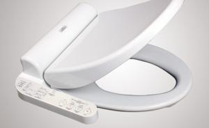 光明日?qǐng)?bào)刊文評(píng)游客拿走馬桶蓋：折射出國(guó)人對(duì)文明的饑渴