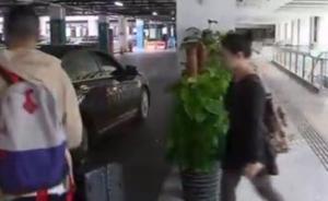 上海虹桥高铁停车库占道停车标识不清，管理方酝酿改进措施