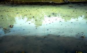 环保部9月办结公众举报52件，山东、广东举报量位列前二