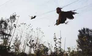 国家林业局开展为期40天“清网行动”，公布各省级举报电话