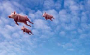 楊國安：找到風(fēng)口，沒有翅膀，“豬”還會重重地摔下來