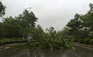 國家防總：11月或有3-4個臺風(fēng)生成，仍需持續(xù)關(guān)注汛情