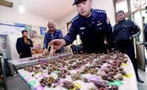 拆網(wǎng)行動(dòng)｜北京一小餐館菜譜首推炸麻雀，警方突查救鳥千只