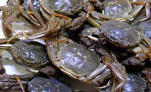 香港检出两批江苏大闸蟹致癌物超标，一公司召回一公司质疑