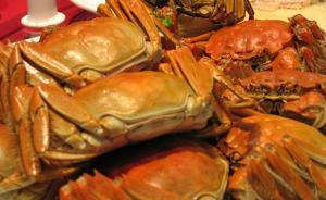 香港检出两批大闸蟹二噁英超标，江苏成立联合检查组调查溯源