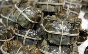 专家谈大闸蟹检出二噁英超标：除非是投毒，对人体无急性影响