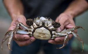 大闸蟹二噁英超标背后：内地仅一机构能检测进出境食物二噁英