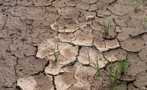 四部长详解土壤污染：污染状况还没完全摸清，监管无法可依