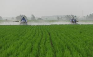 人民日?qǐng)?bào)：農(nóng)村青壯年勞力流失，需要加快培育新型職業(yè)農(nóng)民