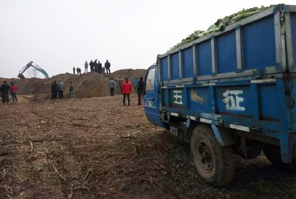 1b4c774ff6cca2a_size47_w690_h518