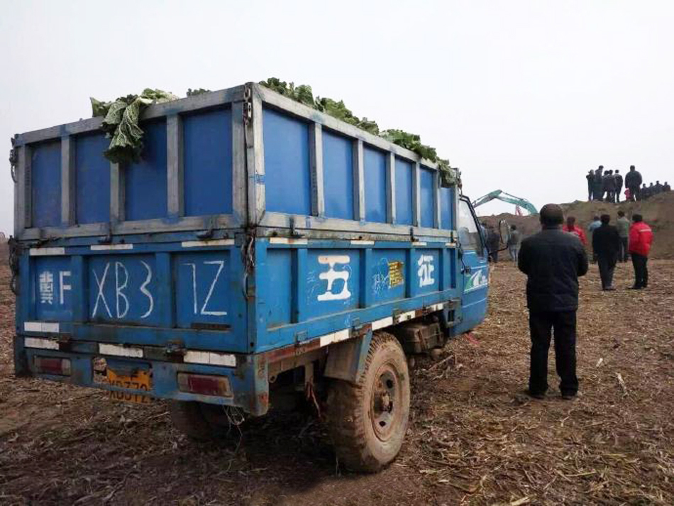 6b901ebd63c265f_size60_w690_h518