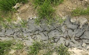 国土资源部部长：实事求是地对严重污染耕地依法进行地类变更