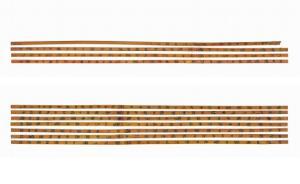 上海成简帛文献出版高地，许多先秦简帛司马迁都未曾见过