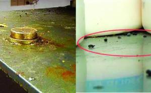 武漢市食藥監(jiān)局關(guān)停韓寒餐廳一家分店：無證經(jīng)營、鼠患嚴(yán)重