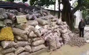 暖闻｜深圳市民一夜买光32吨土豆，只为让青海大爷早点回家