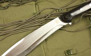 陕西一村支书疑因桃色传闻行凶，持刀砍伤村民后脑勺被行拘