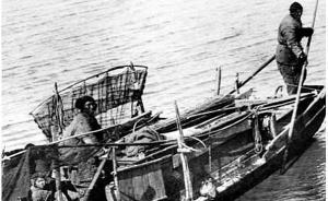 訪談︱賀喜、科大衛(wèi)：如何找尋沒有“歷史”的“水上人”