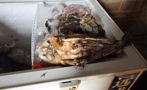 廣西解救的三萬多只候鳥販賣目的地疑為廣東，警方：今日放飛