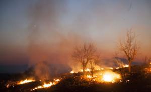 人民日報：與其對農(nóng)民燒秸稈圍追堵截，不如提高秸稈利用率