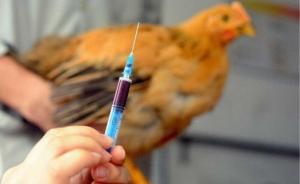 湖南一農(nóng)婦感染H5N6死亡，發(fā)病前有與病死禽密切接觸史