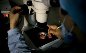 單身女性生育權(quán)之困：試管受孕上戶口都要已婚，怕孩子找爸爸