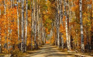 務虛就實︱譚徐鋒：青年史學家的自我修養(yǎng)