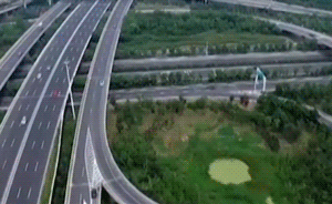 視頻｜12·2交通安全日，那些本可以被避免的悲劇