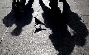 廣西柳州一小學(xué)生拿刀刺中同學(xué)頸部，后與另一同學(xué)跳樓