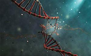 中国基因编辑研究且快且急，中科院院士称存在大量监管空白