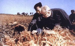 萬里退休后定三規(guī)矩：不剪彩、不任名譽職務、不寫序言不題詞