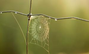 安徽交控集團(tuán)黨委清理“裙帶關(guān)系”：1人免職，2人行政降職