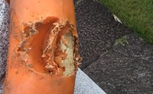 金華司機跳江救人失敗后自費配救生圈，半年丟了6個多個受損