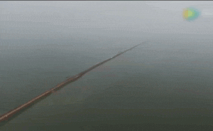 直擊｜湖北第二大湖泊成功破垸分洪，將永久性退垸還湖