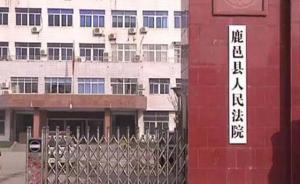 河南一民事案件“一案两判”，官方称误将草稿上传已启动再审