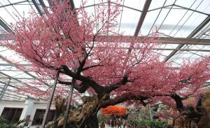 读图｜山西晋中煤老板投资数亿元自建“世外桃源”防雾霾