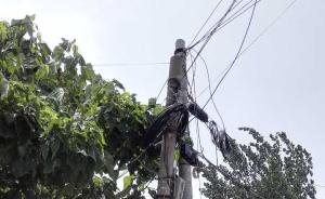 河南一7歲男童村內(nèi)電線桿旁死亡，官方：正調(diào)查是否被電死