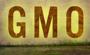 湖南一公司未標(biāo)示“轉(zhuǎn)基因食品”受處罰，兩種菜籽油責(zé)令停售