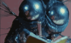 浙江一官员向老板朋友索钱索物，留下一纸借条以示“清廉”