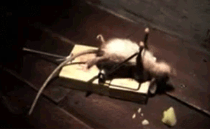 湖南一干部上班时间多次擅自离岗，面对组织督查屡次撒谎