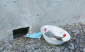 安徽村莊數(shù)十人中毒，嫌犯迷信神婆為破災(zāi)向全村“仇人”投毒