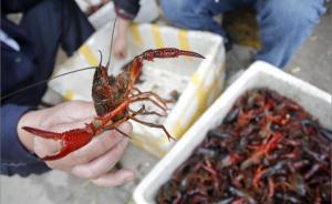 江苏“龙虾书记”蔡敦成受贿一审被判六年半：与仇和交往密切