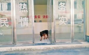 河南周口部分鄉(xiāng)鎮(zhèn)服務大廳窗口無人值班，群眾辦事只能干等