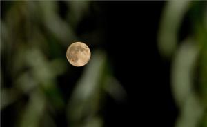 天文專家：農(nóng)歷丁酉雞年共有384天，含6個小月和7個大月