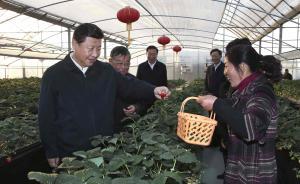 习近平明确2017年农业农村工作主线