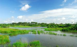 國(guó)家海洋局：用4年修復(fù)恢復(fù)濱海濕地總面積至少8500公頃