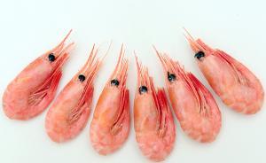 明年起我国将调整部分产品进出口关税：金枪鱼等进口关税降低