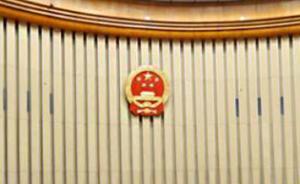 人大常委會(huì)委員：對(duì)地方債務(wù)，中央一定要發(fā)出“不兜底”信號(hào)