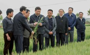 習(xí)近平講解“三農(nóng)”底線：我們的飯碗應(yīng)該主要裝中國糧