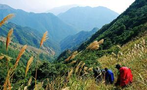 自然保护区频遭闯，护林员无奈成“保安”自嘲上班就是拦驴友