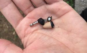 遼寧藥師考試舞弊案兩教師收182名考生70萬，獲罪但免罰